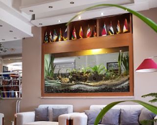 iiBookingBL1.Models.mHotelInfo?.Name