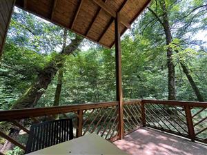 هتل جنگلي ميزبان