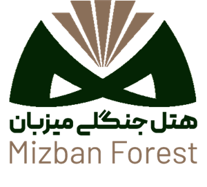 iiBookingBL1.Models.mHotelInfo?.Name